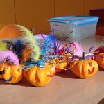 phoca_thumb_m_dn 93 Fotogalerie